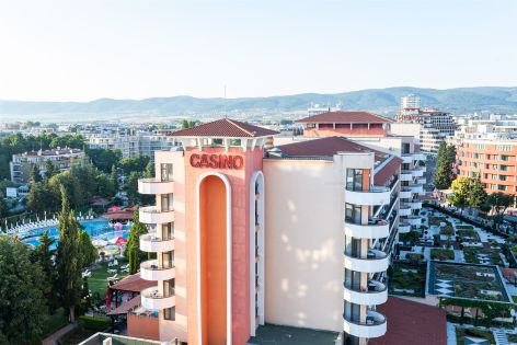 Хризантема