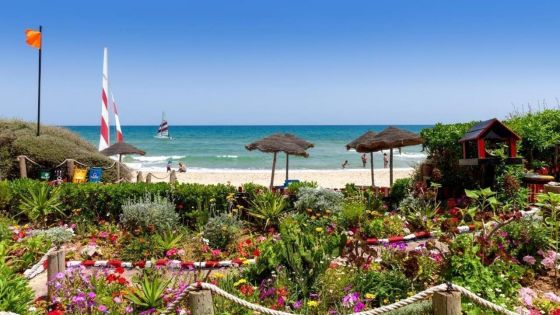 Плаж и вълнуващи екскурзии - 8 дни ALL INCLUSIVE в Тунис, Енфида - Петък - полет от Пловдив 2027